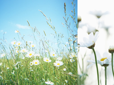 ��Ȼ����ϵ��