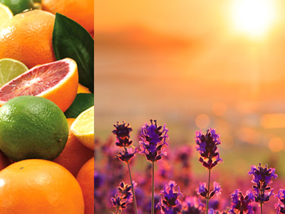 ��������ϵ��