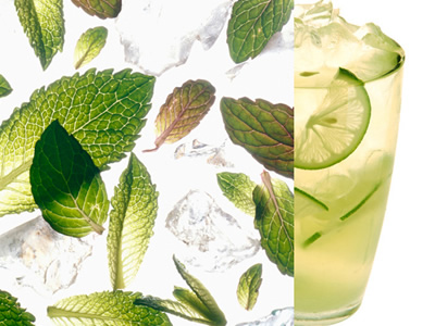 ���ˬϵ��