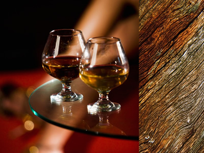 ���ص͵�ϵ��