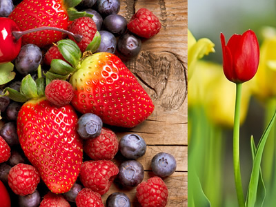 �����ͷ�ϵ��