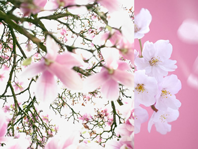 ��������ϵ��